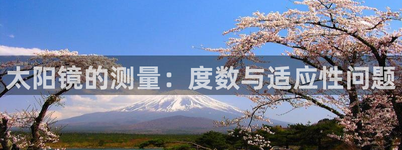 辉达娱乐加扣75775