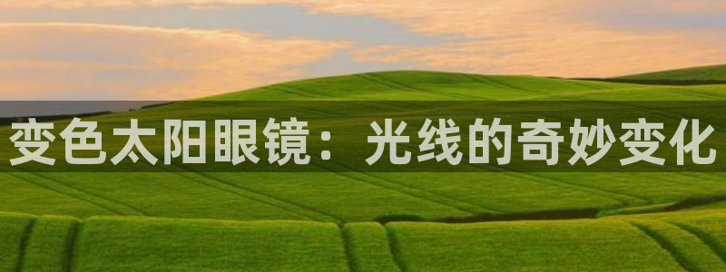 辉达娱乐体育竞猜