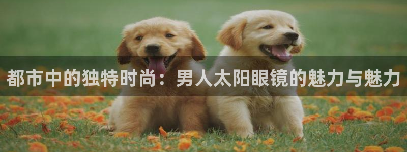 辉达娱乐加q75775