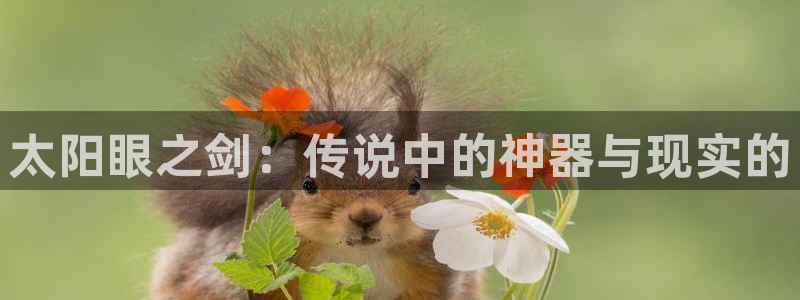 辉达平台官网下载