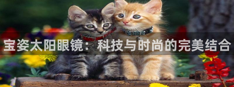 辉达娱乐ag游戏平台