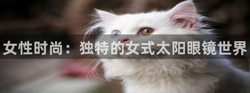 代理辉达娱乐官方网址